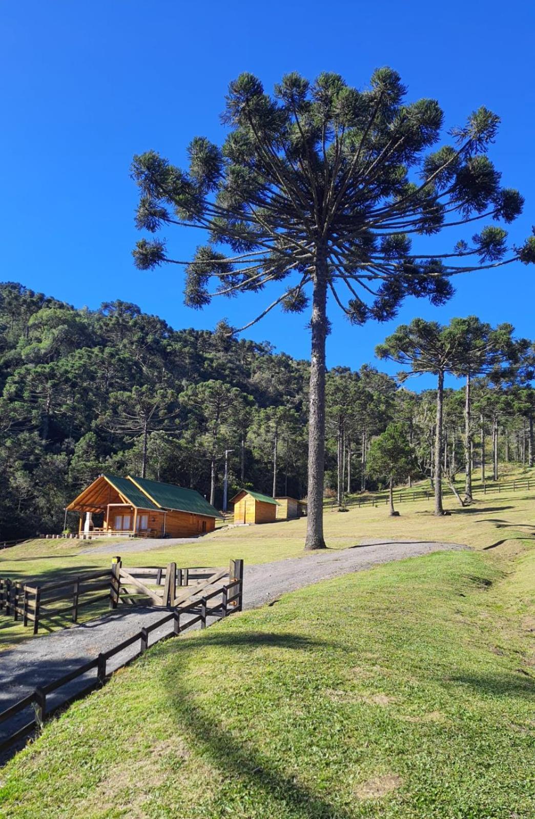 Casa De Campo Quinta Do Vale - Familia Urubici Exterior foto